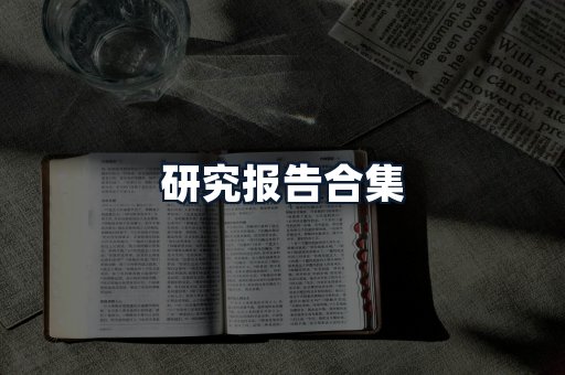 研究报告合集